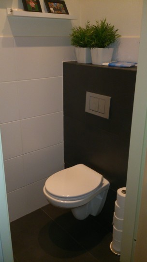 Moderne badkamer met wit toilet en plantendecoratie